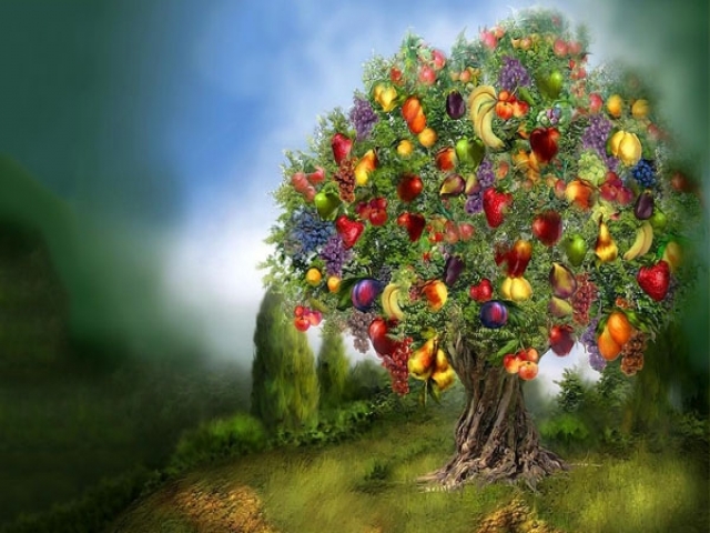 شما میوه کدام درخت هستید؟