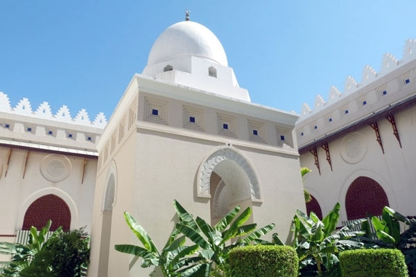 مسجد شجره کجاست؟