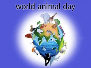 4 اکتبر ، روز جهانی حیوانات