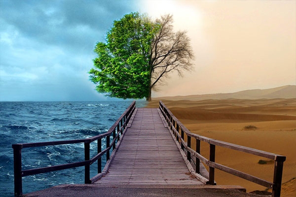 داستان خواب قیامت