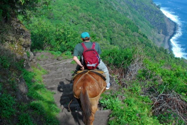 10-interesting-place-for-horse-riding