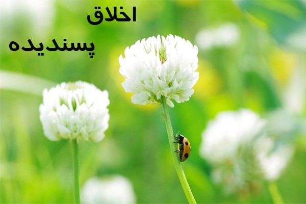 40 حدیث در مورد اخلاق پسندیده