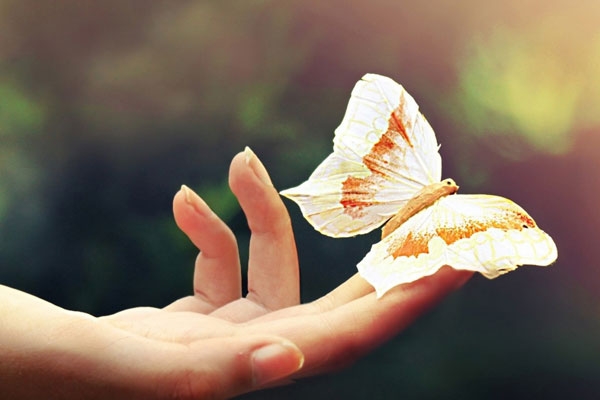 جملات زیبای فلسفی