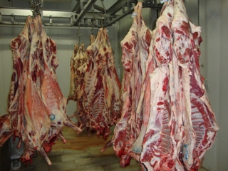 گرانی گوشت گوسفندی در بازار