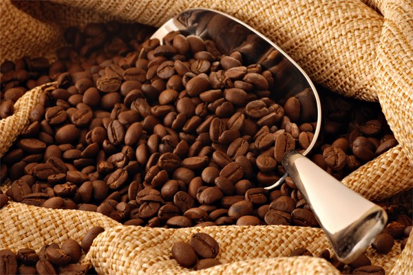Properties of green coffee and white beans