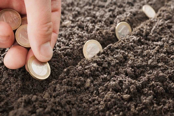 Man planting Euro coins in soil