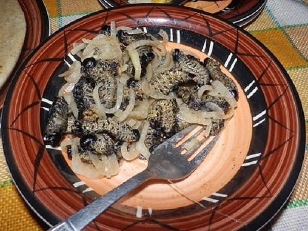 غذاهای عجیب