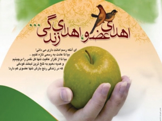 اهدای عضو 600 بیمار مرگ مغزی در کشور