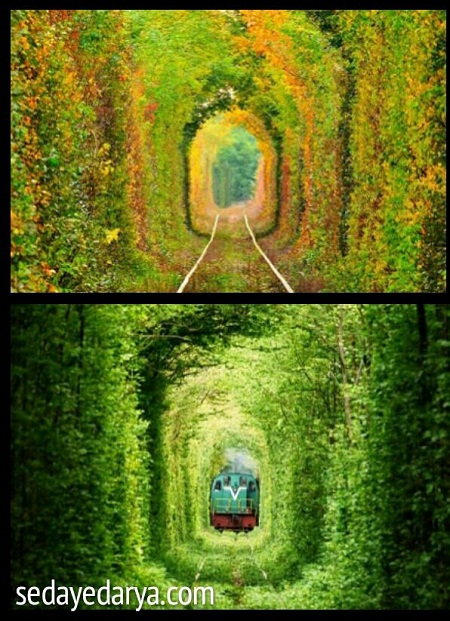 تونل عشق