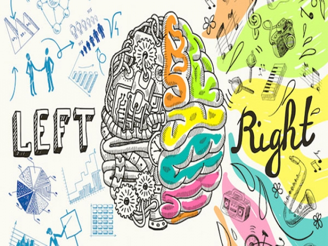 نیمکره راست مغز شما فعال تر است یا نیمکره چپ؟