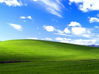 ویندوز XP به محبوبیت خود ادامه می دهد