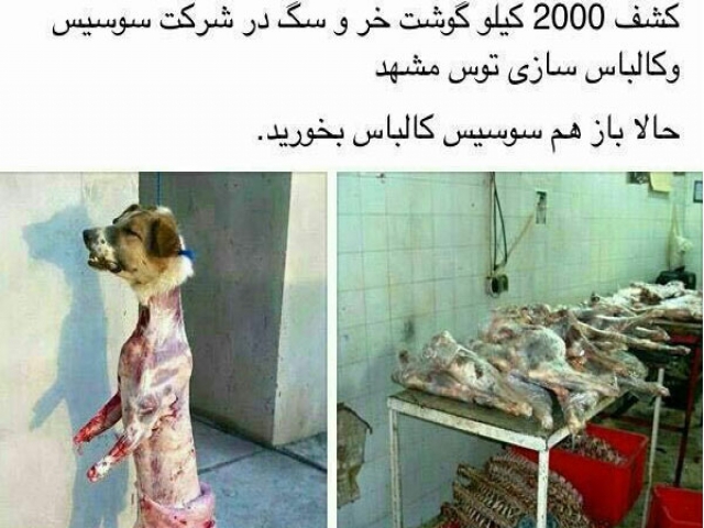 بالاخره 2000 کیلو گوشت سگ تبدیل به سوسیس شد؟+تصاویر بالاخره 2000 کیلو گوشت سگ تبدیل به سوسیس شد؟+تصاویر