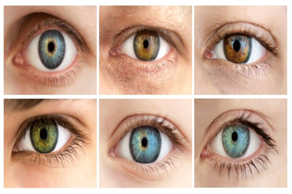 Eye color is determined personality
