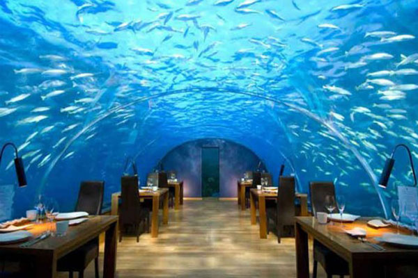 Restaurant at a depth of 5 meters under the sea + photo