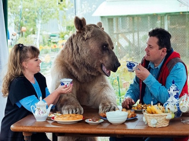 ماجرای جالب زندگی یک خرس همراه یک زوج