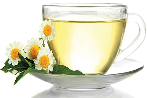 فواید بیشمار چای کوهی