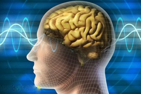 30 ثانیه پس از مرگ در مغز انسان چه می گذرد؟