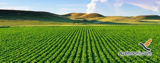آشنایی با فرآیند زراعت