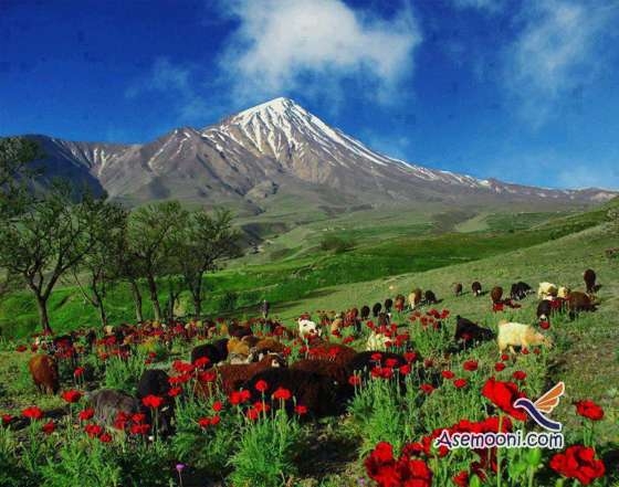 آشنایی با استان کردستان