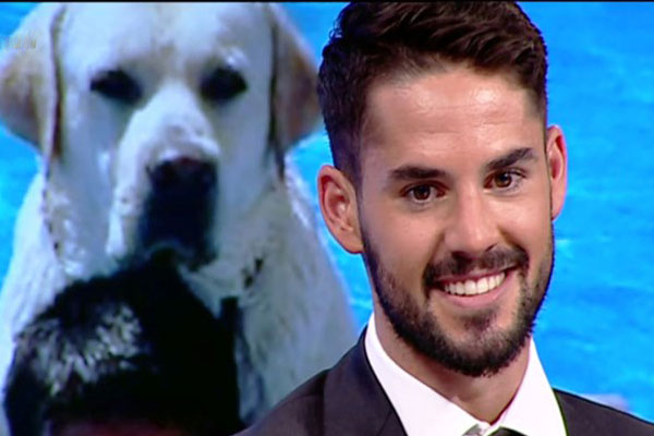 ستاره رئال مادرید اسم سگش را مسی گذاشت!