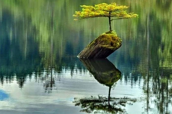 نکته های کوچک زندگی