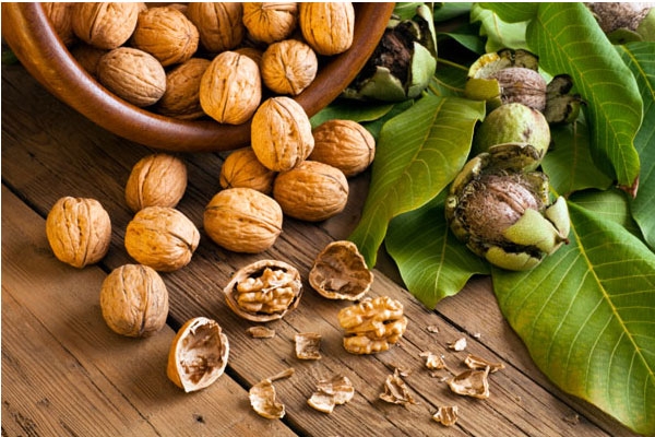 8 خاصیت بی نظیر گردو برای سلامت