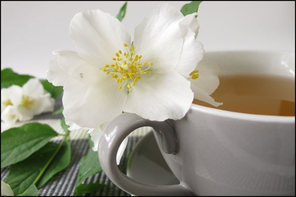با خواص چای سفید آشنا شوید