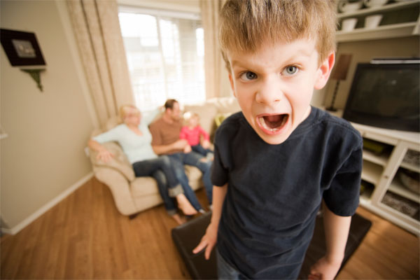 Factors that would cause aggression in children (2)