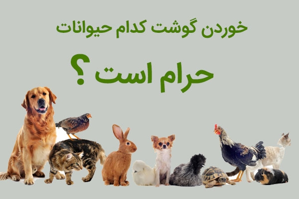خوردن گوشت کدام حیوانات حرام است؟