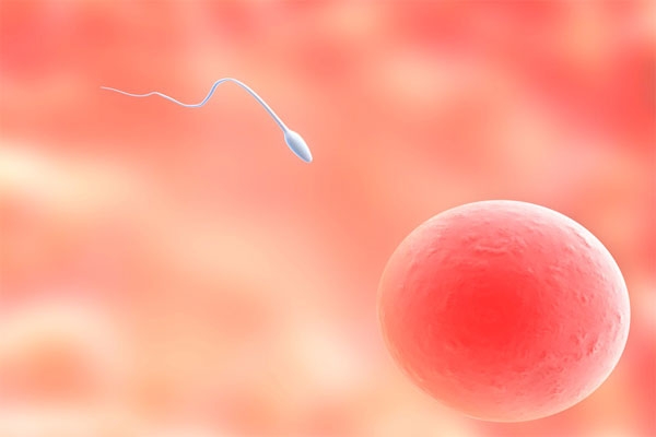 زمان دقیق تخمک گذاری را چگونه تشخیص دهیم؟