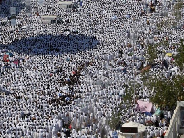 در فاجعه منا برخی ایرانیان را مقصر می دانند!/ تا این لحظه از خون 464 شهید منا خبری نیست در فاجعه منا برخی ایرانیان را مقصر می دانند!/ تا این لحظه از خون 464 شهید منا خبری نیست