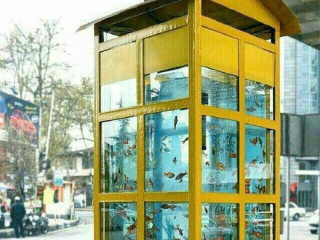 کار جالب و ستودنی شهرداری رشت جهانی شد کار جالب و ستودنی شهرداری رشت جهانی شد