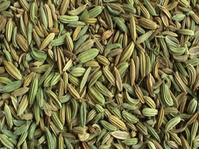 رازیانه داروی گیاهی لاغری رازیانه داروی گیاهی لاغری