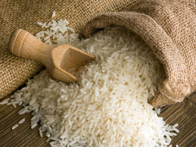 کاهش قیمت برنج در فصل برداشت