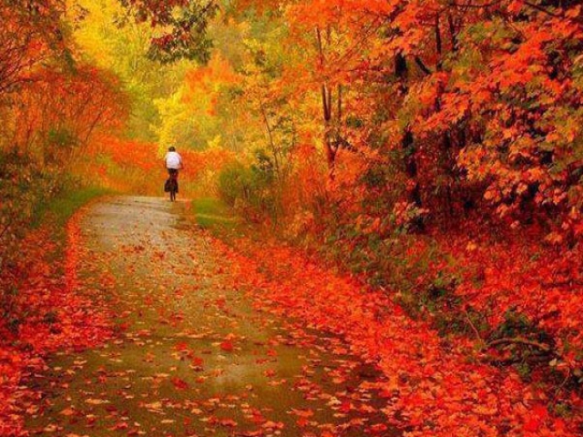 اشعار پاییزی زیبا اشعار پاییزی زیبا