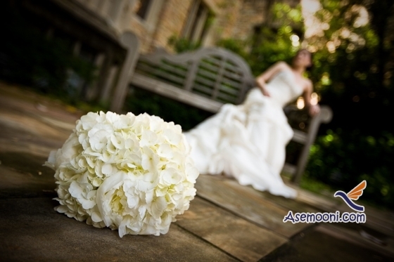 نکات طلایی در روز عروسی