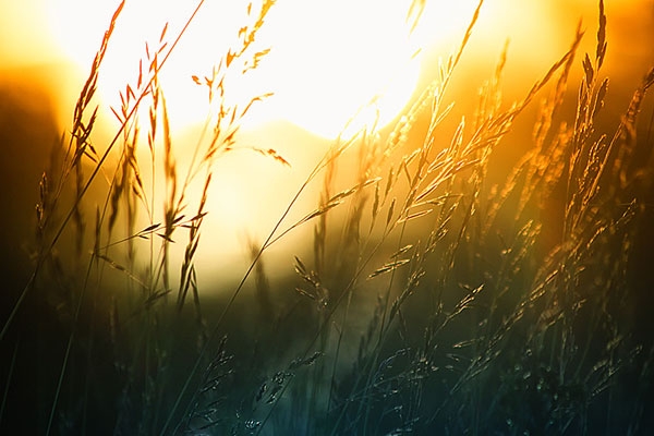 بهم گفتی خداحافظ ...