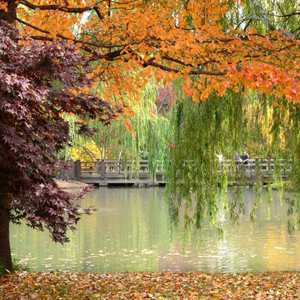 autumn-profile-photos-10
