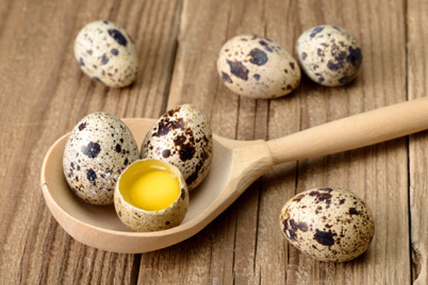 quail-eggs-properties-3