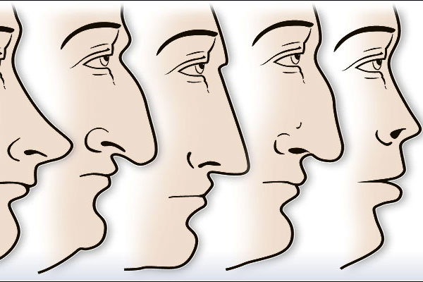 facereading7