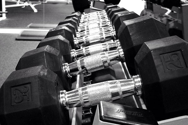 بهترین برنامه بدنسازی حرفه ای