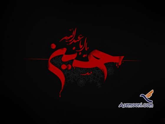 6 محرم؛ یاری طلبی حبیب بن مظاهر از بنی اسد - 61 ق