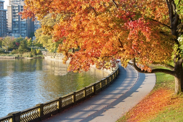 بهترین مکان ها برای مسافرت خارجی در پاییز