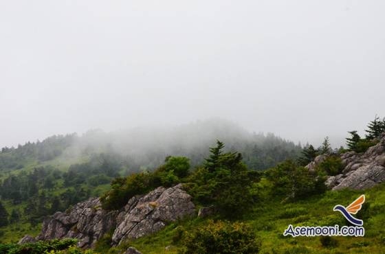 تصاویری از طبیعت زیبای کوه راجر