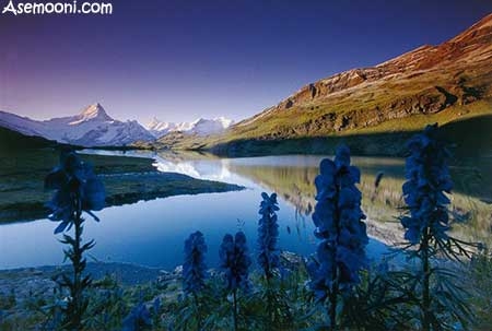 طبیعت چیست و کجاست؟