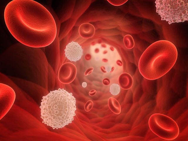 ترومبوسیتوپنی یا اختلال در پلاکتهای خون