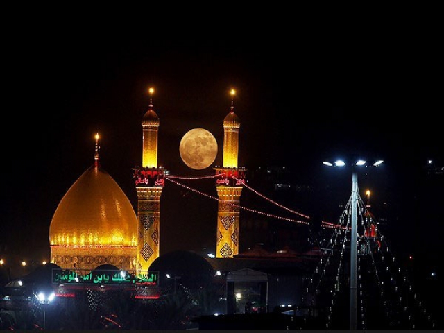 تصاویر دیدنی 25 آبان 95 تصاویر دیدنی 25 آبان 95