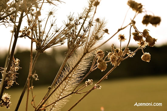 آموخته های گابریل گارسیا مارکز