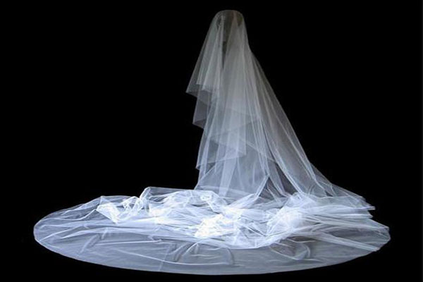 what-was-the-cause-of-death-mashhadi-self-bride