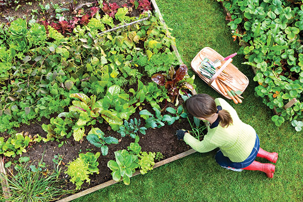 gardening-at-home3